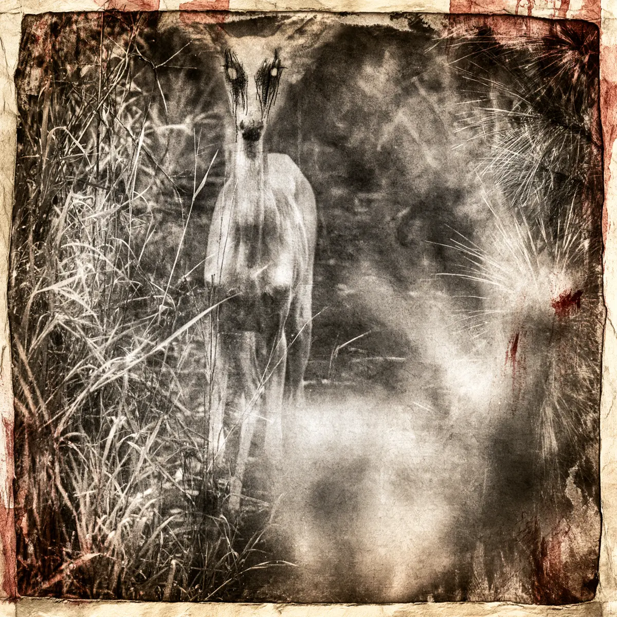 A pale, indistinct animal standing beside a dark roadside in a distressed photograph